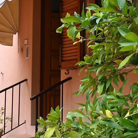 N080 - Numana, Bilocale Con Terrazzo In Centro * סירולו